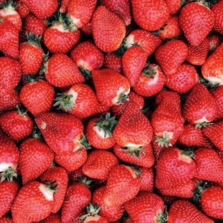 Fraise Gariguette