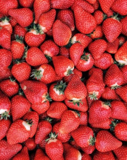 Fraise Gariguette