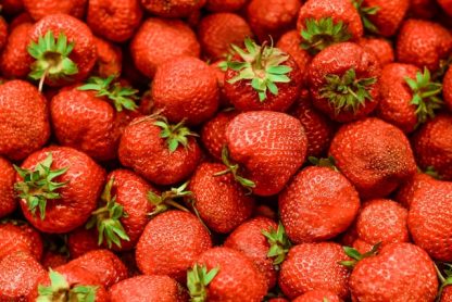 Panier Gourmand